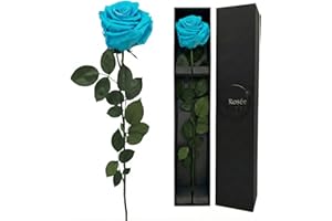 LA ROSEE ETERNELLE – Duftende ewige Rose mit langem Stiel – Natürlich konservierte & haltbare echte Rose aus Ecuador – Geschenkbox für sie, Freundin oder Mutter – Farbe: Miami Blue