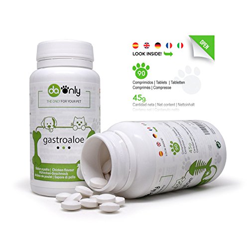 Aloe-vera-por-dogs-pet-care-gastrointestinal-dog-food-dog-stomach-problems-gastrointestinal-cat-food-cats-care-digestive-problems-in-dogs-dog-stomach-ache-aloe-vera-for-pets-aloe-vera-dogs-DAONLY