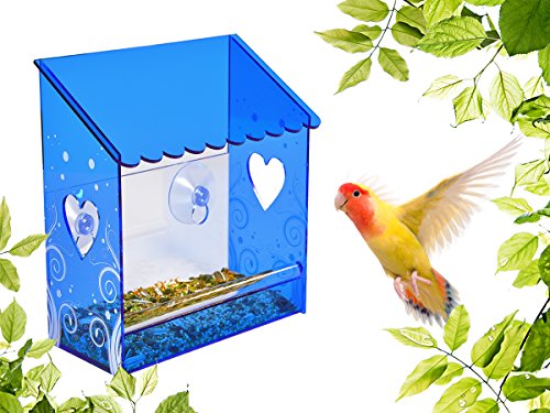 Nature Window Bird Feeder Squirrel Proof– Small Acrylic Bird Feeder, Clearest View – With Clear Blue Roof and Sight Walls, Drain Holes and Ultra-Strong Suction Cups. For All Weather Conditions