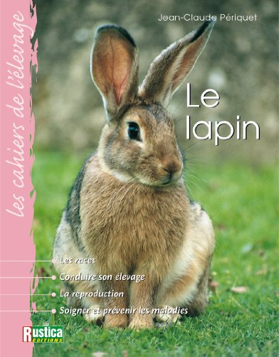 Le lapin