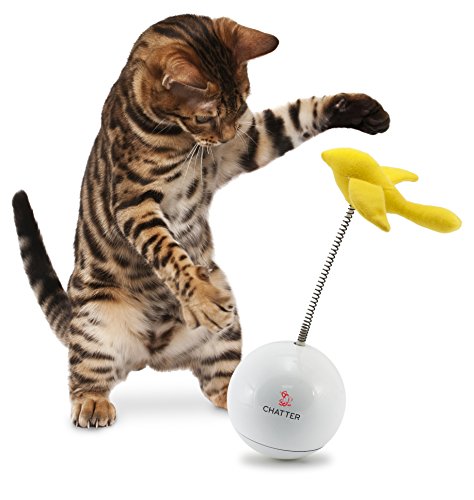 PetSafe-Frolicat