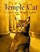 Temple Cat by 
