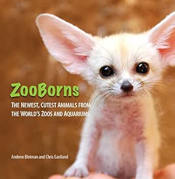 Zooborns The Newest Cutest Animals From The World S Zoos And Aquariums Zooborns English Edition Ebook Bleiman Andrew Eastland Chris Amazon Fr Boutique Kindle