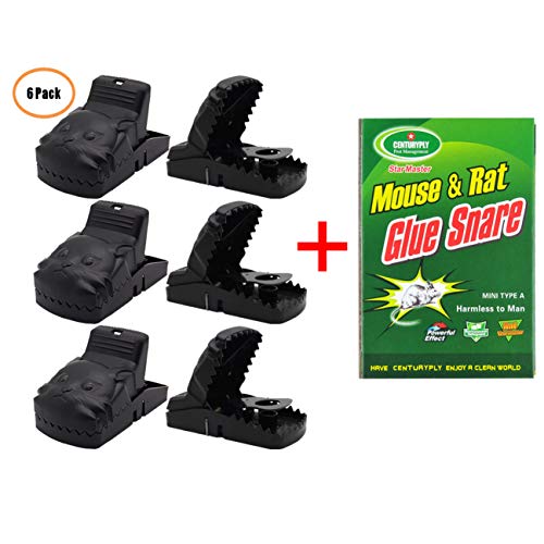 Sheatee Nueva Trampa para Ratones Roedor Asesino Humane Rat Trap para Obtener Resultados de Muerte al 100%, Reutilizable y Efectivo Atrapador de ratón para Interiores-(Paquete de 6)