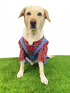 DOG-O-BOW Blue and Red Plaid Check Dungaree ( Small )
