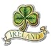 Produktbild 2 x Irland Kleeblatt Lucky Irish Auto Vinyl Aufkleber Aufkleber Laptop Reise Gepäck Auto Ipad Schild Fun # 4031 - 10cm/100mm Wide