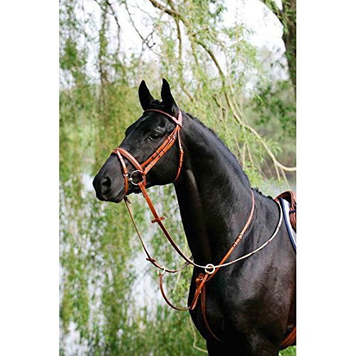 Preisvergleich Produktbild Trensenzaum – stübben- Dublin tabac-tabac Pferd