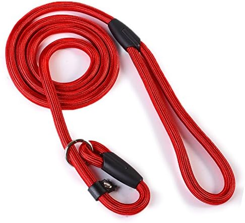 LONGWEY Nylon Rope Dog Slip Training Leash Lead and Collar, 3 Color (Red)