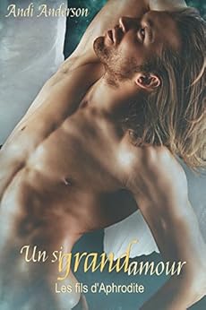 Un si grand amour: Les fils d'Aphrodite Tome 1 par [Anderson, Andi]