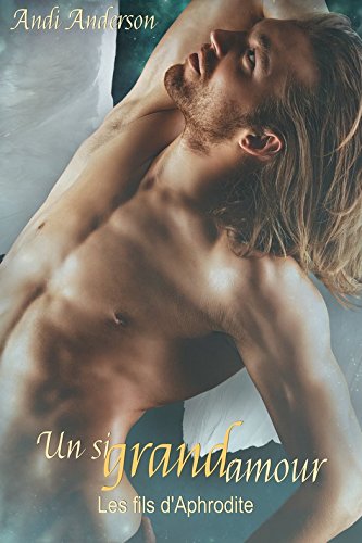 Un si grand amour: Les fils d'Aphrodite Tome 1 par [Anderson, Andi]