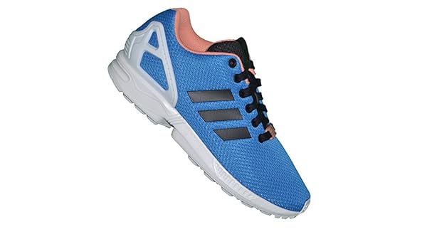 zx flux lachs