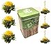 Produktbild 6er-Dose Weißtee-Teeblumen"White Zen" - Teerosen/Teeblüten in edler Probier- und Geschenkdose, inkl. Bedienungsanleitung, hochwertigster Erblühtee mit echten Blüten