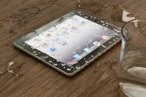 Imagen 6 de FROGSKIN Frog Skin iPad