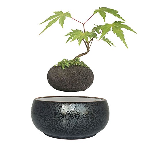 Levitating potted magnet schwimmenden Topf Luft Bonsai Baum Keramik Blumentopf - 3