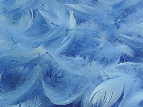 10g of Fluffy Goose Coquille Feathers - approximately 120 feathers) - length ranges from 3-10cm – ideal for arts &amp; crafts, decorations, millinery etc. (Pastel Blue)