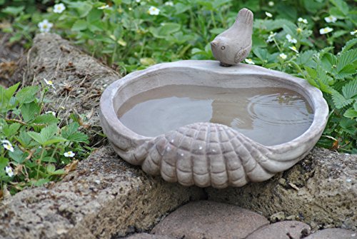 Preisvergleich Produktbild Vogelbad,Vogeltränke,Muschel,cappucc...