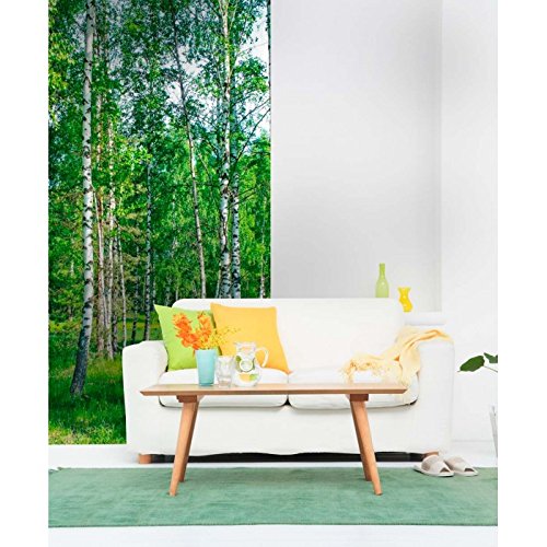 Vlies Fototapete – Birkenhain 110 x 220 cm - 5