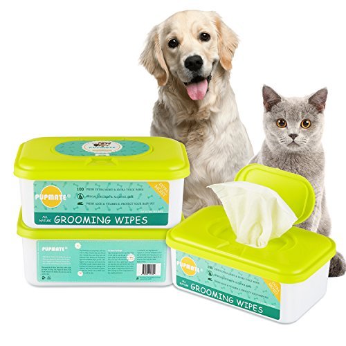 PUPMATE Pañitos Perros y Gatos, pañitos Extra húmedos y Gruesos para Limpiar cachorritos, Incluye 100 pañitos Frescos desodorizantes e hipoalergénicos con - (Aloe Vera)