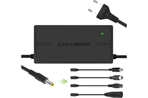 Qintrumiot 54.6V 3A Cargador Patinete Electrico, 48V Litio Batería Scooter Eléctrico compatibles con Smartgyro Speedway, Kugoo M4 / M4 Pro, Hitway H5/H5 Pro, UrbanGlide E-Cross Pro, JOYOR