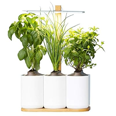 Prêt à Pousser Pot de fleur connecté Pret A Pousser Potager d'intérieur Lilo
