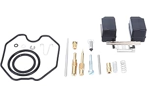 KEENSO Carburetor Overhaul Kit, 18 Pieces Carburetor Repair Rebuild Kit Motorcycle Replacement Parts for PZ26 CG CG125 Carb carburetor accessories