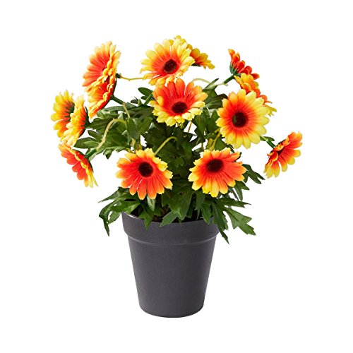 Preisvergleich Produktbild Blumentopf "Gerbera"
