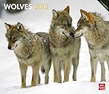 Wolves 2013 - Wölfe - Original BrownTrout-Kalender - Deluxe by