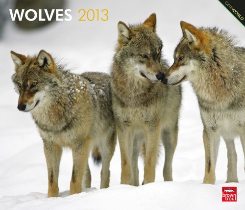 Wolves 2013 - Wölfe - Original BrownTrout-Kalender - Deluxe