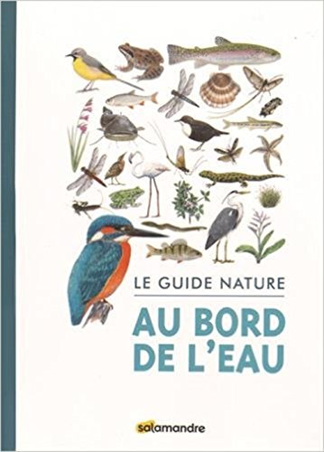 couverture de : Guide nature au bord de l'eau