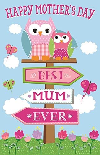 Giant Mother's Day Poppet Card - Best Mum Ever Bright Owls &amp; Pink Sign 25" x 16"