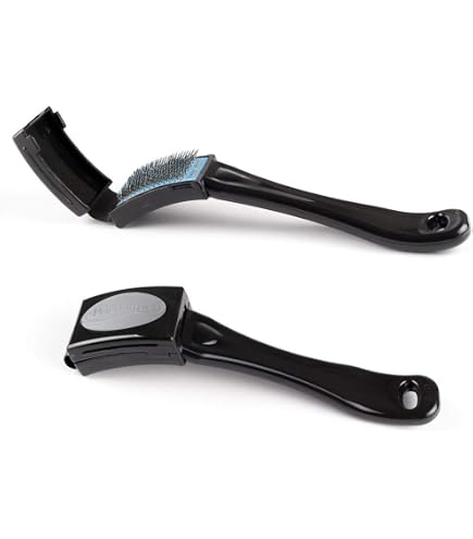 Brosse Pour Semelles De Chaussures De Danse - Poils Métal, Manche En Bois - Pour Cuir Chromé - Avec étui