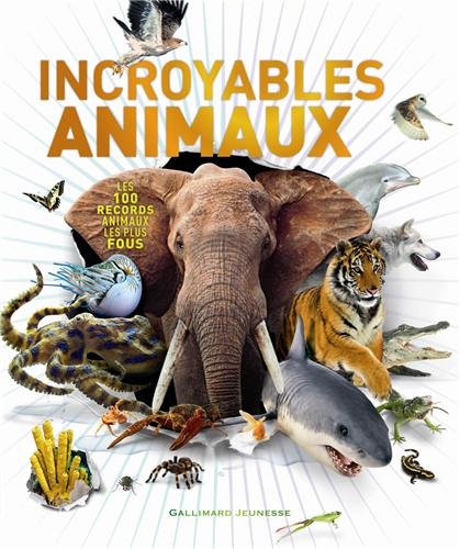 couverture de : Incroyables animaux