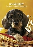 Image de Großer farbiger Dackelkalender 2009