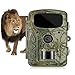 Produktbild Wildkamera Überwachungskamera Full HD 1080P 16MP Gbtiger Profi Jagdkamera Infrarot-LEDs mit bewegungsmelder Nachtsicht 60°Weitwinkel Wasserdicht IP66 0,5 Sekunden Auslösezeit, USB 2.0 2,4" LCD Display