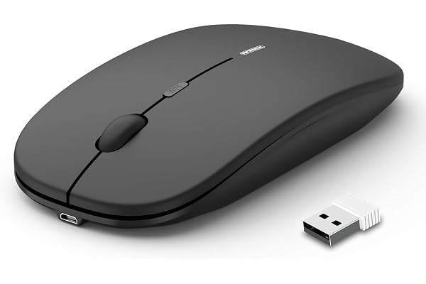 Anmck Souris sans Fil silencieuse et Rechargeable USB pour Ordinateur Portable, PC, portée de 10 m, 1600 dpi 3 Niveaux de réglage, Mini Souris silencieuse, pour la Maison et Le Bureau, pour Windows,