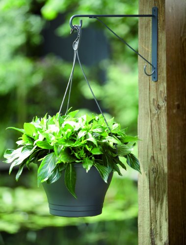 elho Corsica Vertikaler Garten Standard Medium – Anthrazit - 4