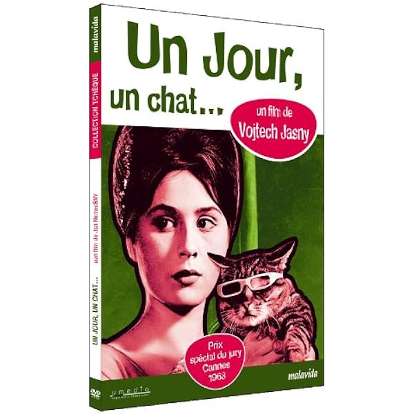 Un Jour Un Chat Amazon Fr Jan Werich Emilia Vasaryova Vlastimil Brodsky Vojtech Jasny Jan Werich Emilia Vasaryova Dvd Blu Ray