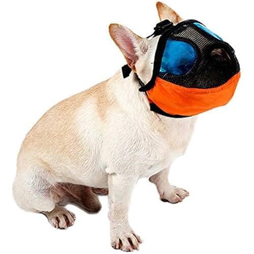 Amazon.co.uk french bulldog muzzle