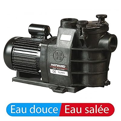 Hayward - sp2811xe161 - Pompe à filtration 1 cv, 13m3/h mono MAX FLO