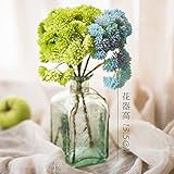 ZHUDJ  Emulation Fleischige Pflanze Vordach Grüne Pflanzen...