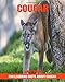 Produktbild Fun Learning Facts About Cougar