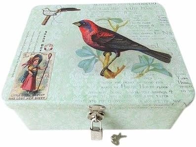 box tin tiny small decorative metal nostalgia bird red blue