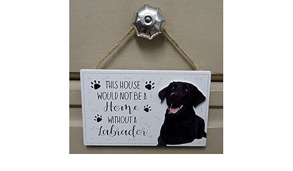 labrador gifts amazon