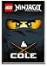 Produktbild LEGO Ninjago Cole