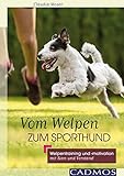 Buch-Cover Vom Welpen zum Sporthund: Welpentraining und -motivation mit Sinn und Verstand