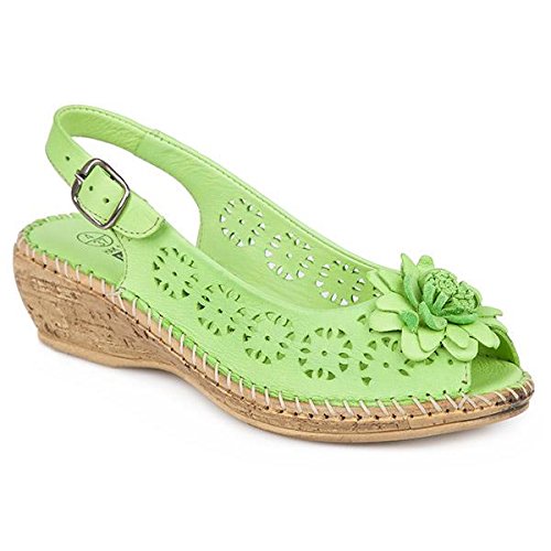 « Click to Enlarge and to go to Amazon »