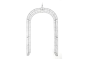 CLP Arcade de Jardin en Fer Forgé Lenz - Arche à Rosiers Robuste et Stable - Support pour Plantes Grimpantes - Hauteur 264 cm - Couleur:, Couleur:Bronze