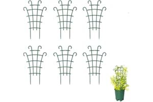 BKEMKRI 6 Pezzi Supporto per Piante Rampicanti da Giardino, Tralicci Rampicanti, Supporto per Piante da Giardino, Traliccio per Piante Rampicanti, Supporto per Piante in Vaso per Fiori (Verde Scuro)