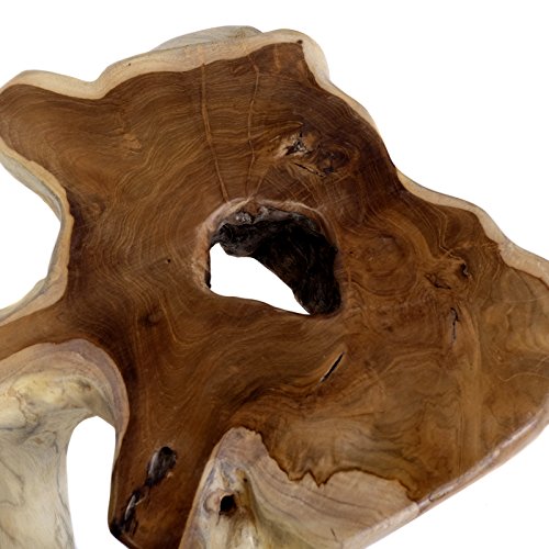 Unique Heavy Solid Teak Wood Coffee Table Wood Stool Root Table Flower Table + Brillibrum Flyer