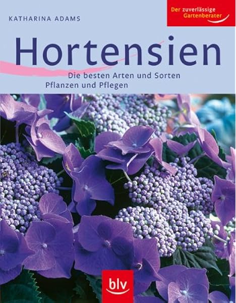 Hortensien Die Besten Arten Und Sorten Pflanzen Und Pflegen Amazon De Adams Katharina Bucher